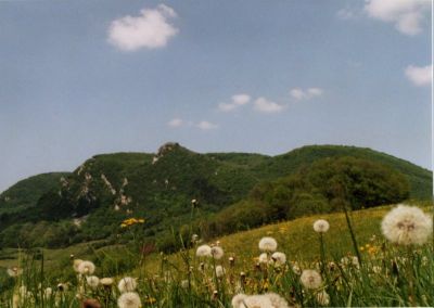 Le Mont Poupet
Le Mont Poupet dans le Jura
Nikon F90 + 35-70 + Superia800
Mots-clés: jura