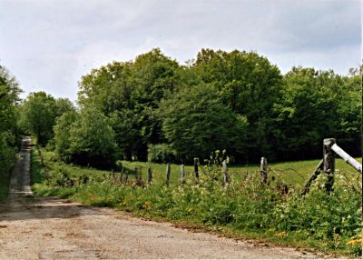 Chemin vers ailleurs
Un chemin quelque part dans le Jura
Nikon F90 + 35-70 + Fuji Supéria 800
Mots-clés: Jura chemin