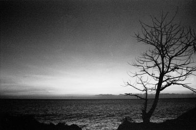 Martinique_soir
Coucher de soleil en Martinique, retour de plongée
Nikon F100 - 35-70 f2.8
