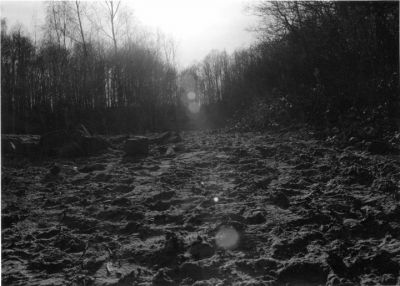 Plaine sablonneuse en forêt
Une bien jolie plaine sablonneuse dans la forêt de Chevreuse
Nikon F90 + 35-70 + HP5
Scan de tirage

