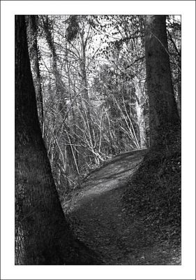 La Roche sur Foron
