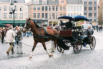 Trip to Bruge. Taken with Minolta X700 using 'standard' 50mm lens
Mots-clés: Bruge Minolta X700 Horse
