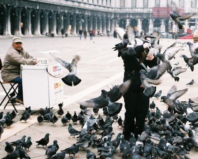 Pidgeons in Saint Marks Square - Venice 2008
Our friend is mobbed by pidgeons as the seed seller looks on....Don't worry she was laughing and enjoying it. Taken with Minox 35ML.
Mots-clés: Minox 35ML Venice Pidgeons
