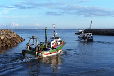 Bateaux sortant du port

