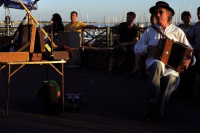 accordéoniste
