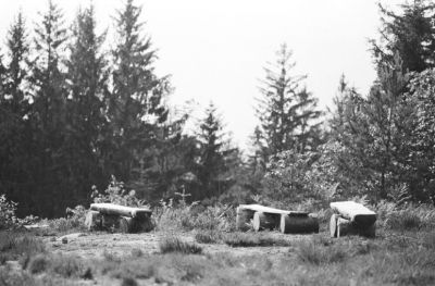 Paysage vosgien
