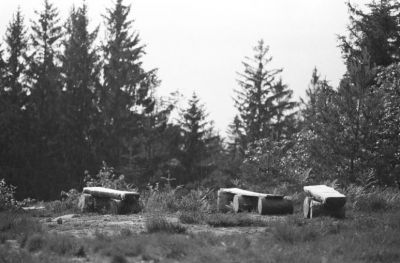 Paysage vosgien
