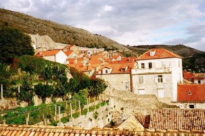 Un petit bout de Dubrovnik
Ville historique de Dubrovnik - Octobre 2007
On y voit un petit bout de jardin et des jolis orangers, la ville est magnifique ;-)
Canonet QL17 GIII - Fuji Reala 100
