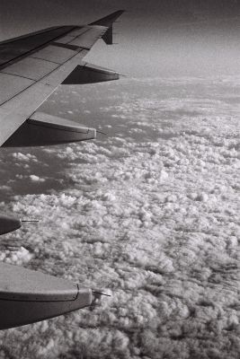 Petits moutons ;-)
En route vers l'Allemagne
Pentax LX + 24-50mm + T-Max 400 @ 800
