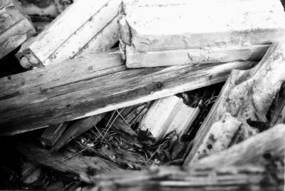 Marseille
Un eclat de tuile de la cabane ecroulée qui abritait la pompe...
Marseille, certaines de ces tuiles arborent une cigale
