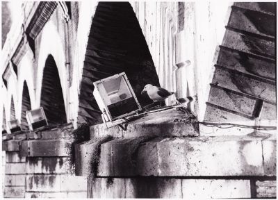 L'ampoule est grillée ?
Pont de la Garonnette, prise de l'écluse Saint Michel
