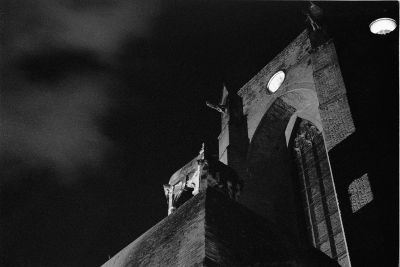 Jacobins de nuit
