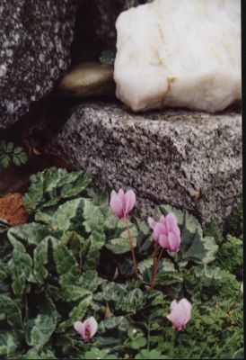 Cross_007.jpg