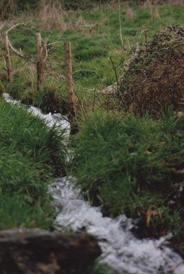ruisseau
