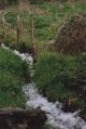paysage_001.jpg