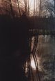 paysage_002.jpg