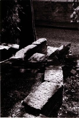 au jardin des plantes de Montpellier
scan de tirage
