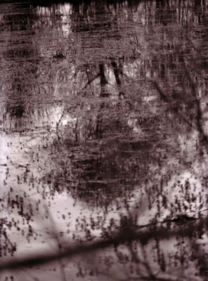 reflets
scan de tirage
