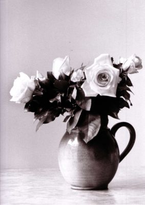 ROSES
Pentax Z10+28-80 scan de tirage
