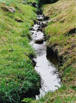 Tout petit ruisseau
