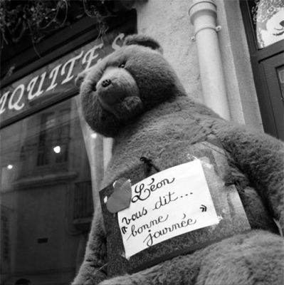 leon vous dit "bonne journée!"
bon gros nounours... 
