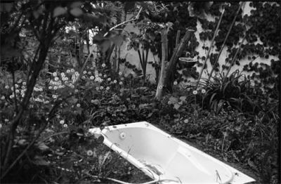 baignoire sauvage...
moskba 4, HP5+rodinal
f8 1/40
