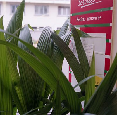 la jungle des annonces
super baldax f5,6
portra NC
