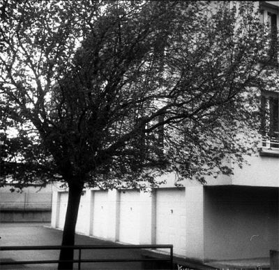 2008-03-VI049.jpg