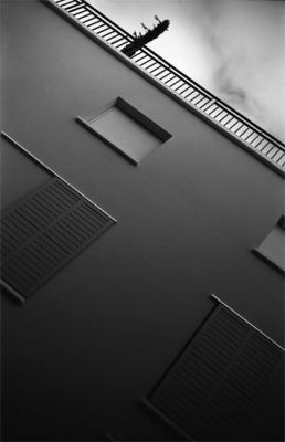 2009-02-II109.jpg