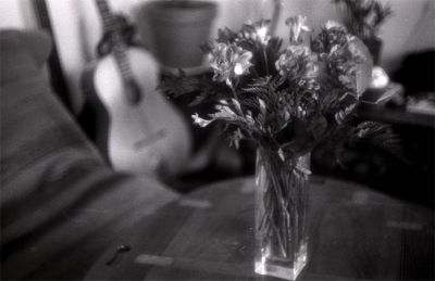 2009-04-I017.jpg