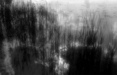 2009-05-V057t.jpg