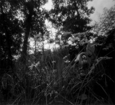 2009-05-XII146t.jpg