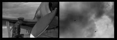 2009-06-I-dog-fight.jpg