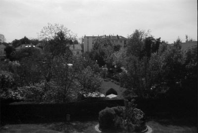 2010-04-VII079.jpg