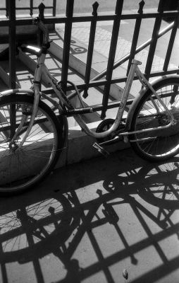 2010_05_VI315redim.jpg