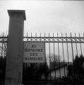 2008-03-VI067.jpg