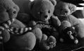 2008-09-VII327nounours.jpg