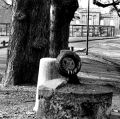 20080426094154_parc.jpg