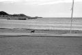 Scan-090523-0012_resize.jpg