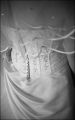 mariage_076.jpg