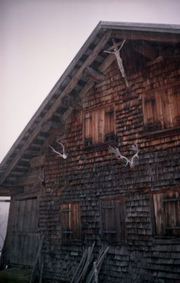 chalet

