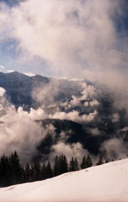 brouillard de montagne
