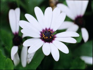 Photo.jpg
