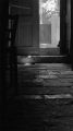 entrée-de-l_eglise2.jpg