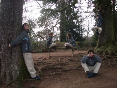 multi-tristoune_copie.jpg