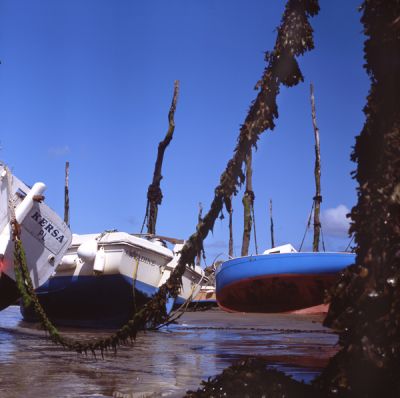 Kersa
Salyut S, Fuji Provia 1OO
