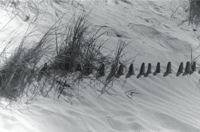 Sand
Mots-clés: Zenit E