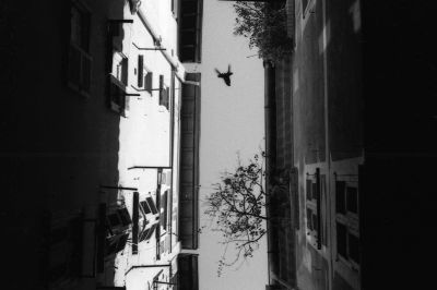 Végétation
Mots-clés: Minolta 7s