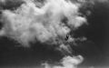 img195web.jpg