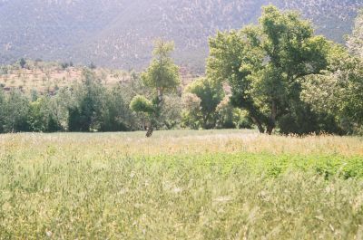 paysage
cette image est prise au sud du maroc à ozode

